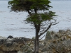 mg_5920