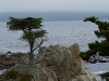 mg_5928
